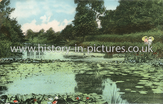 The Falls Walk, Beeleigh, Maldon, Essex. c.1906